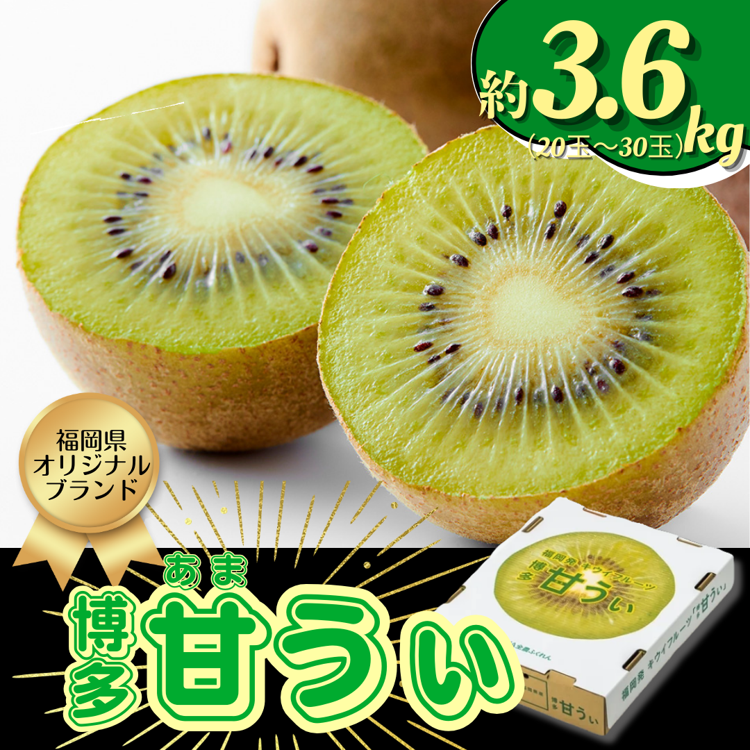 福岡県ブランドキウイ『博多甘うぃ』3.6kg（20玉〜27玉）【10月